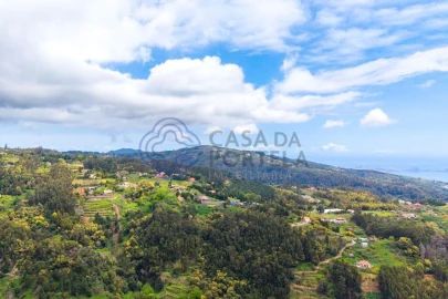 Terreno para Venda em Santa Cruz