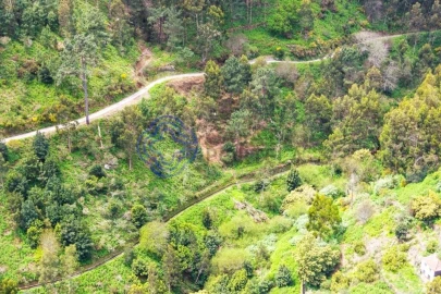 Terreno para Venda em Santa Cruz