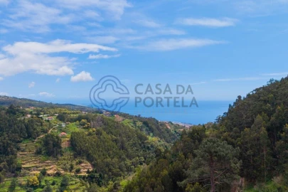 Terreno para Venda em Santa Cruz