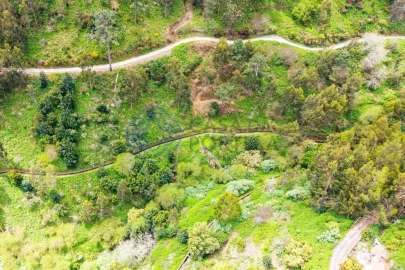 Terreno para Venda em Santa Cruz