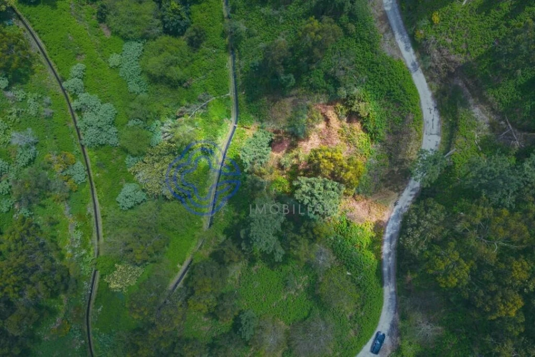 Terreno para Venda em Santa Cruz Foto 4