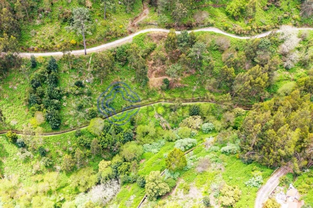 Terreno para Venda em Santa Cruz Foto 5