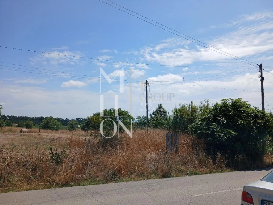Terreno para Venda em Vagos e Santo António Foto 6