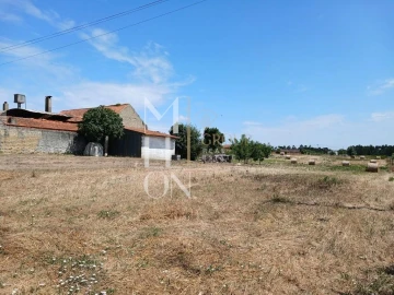 Terreno para Venda em Vagos e Santo António