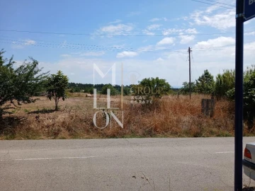 Terreno para Venda em Vagos e Santo António