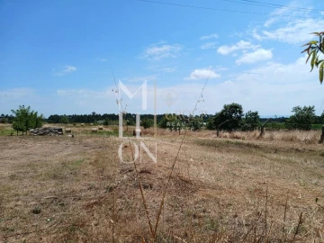 Terreno para Venda em Vagos e Santo António