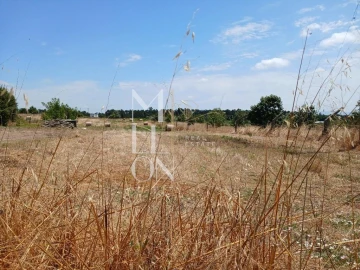 Terreno para Venda em Vagos e Santo António