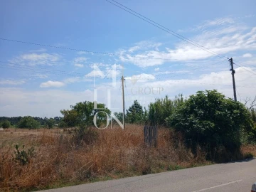 Terreno para Venda em Vagos e Santo António