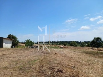 Terreno para Venda em Vagos e Santo António