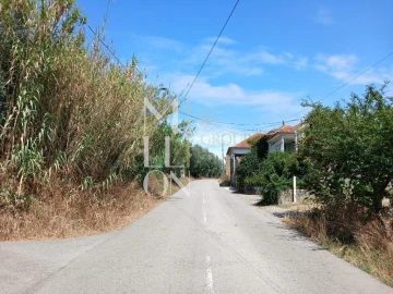 Terreno para Venda em Vagos e Santo António