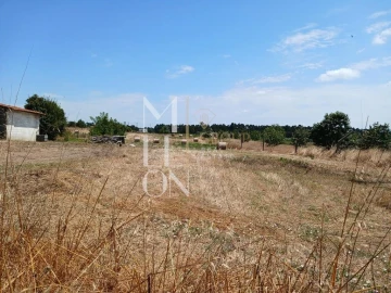 Terreno para Venda em Vagos e Santo António