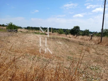 Terreno para Venda em Vagos e Santo António