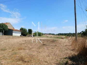Terreno para Venda em Vagos e Santo António