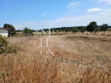 Terreno para Venda em Vagos e Santo António