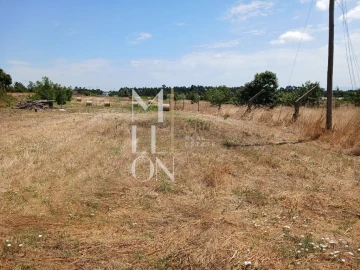 Terreno para Venda em Vagos e Santo António