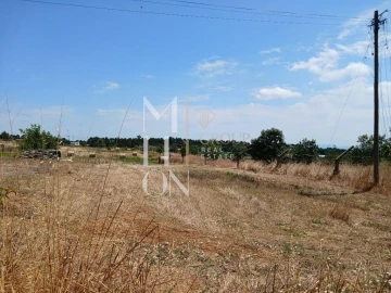 Terreno para Venda em Vagos e Santo António