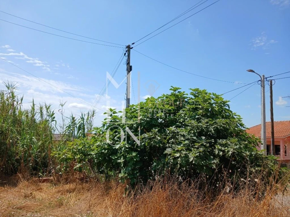 Terreno para Venda em Vagos e Santo António Foto 4