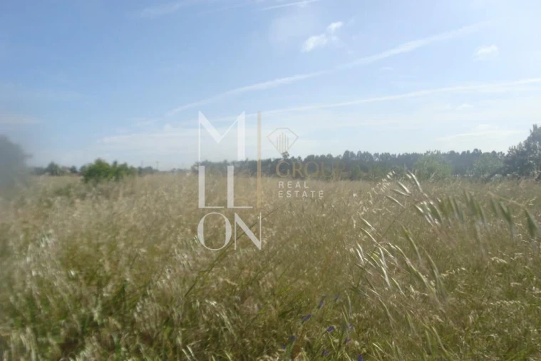 Terreno para Venda em Vagos e Santo António Foto 5