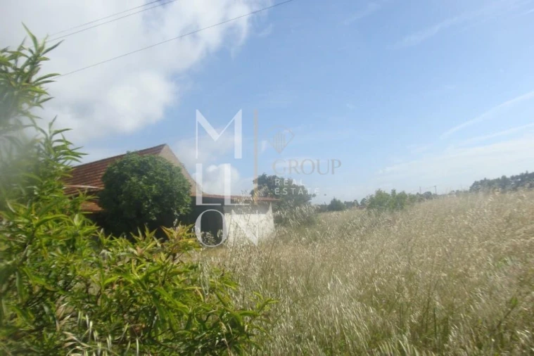 Terreno para Venda em Vagos e Santo António Foto 7