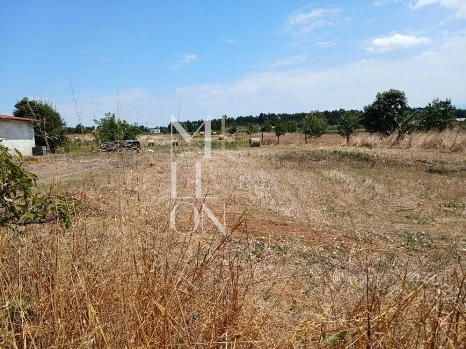 Terreno para Venda em Vagos e Santo António Foto 18