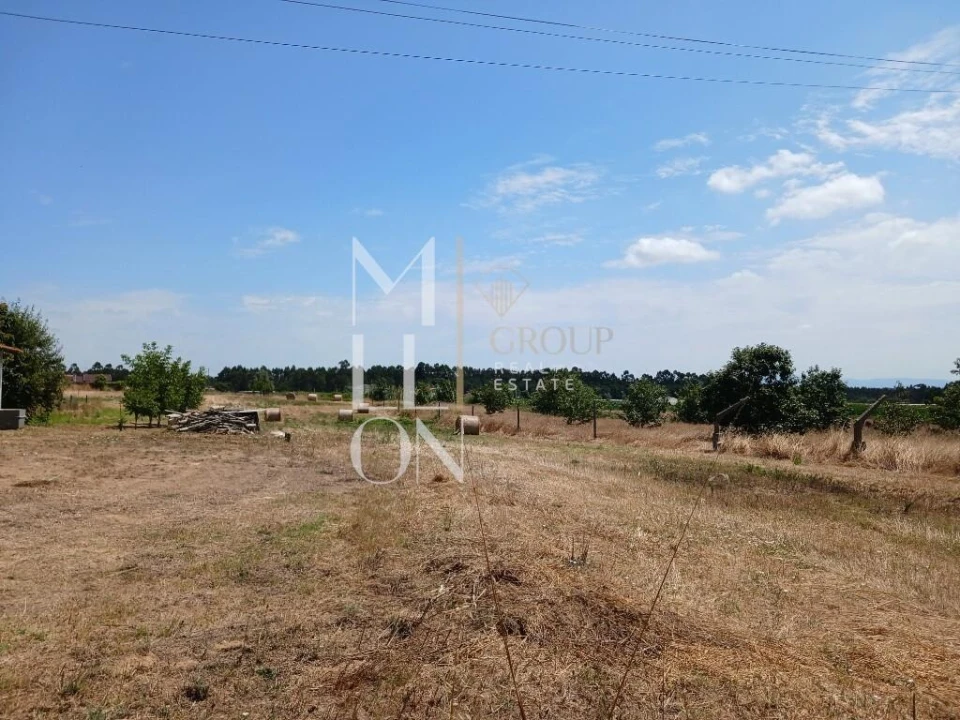 Terreno para Venda em Vagos e Santo António Foto 15