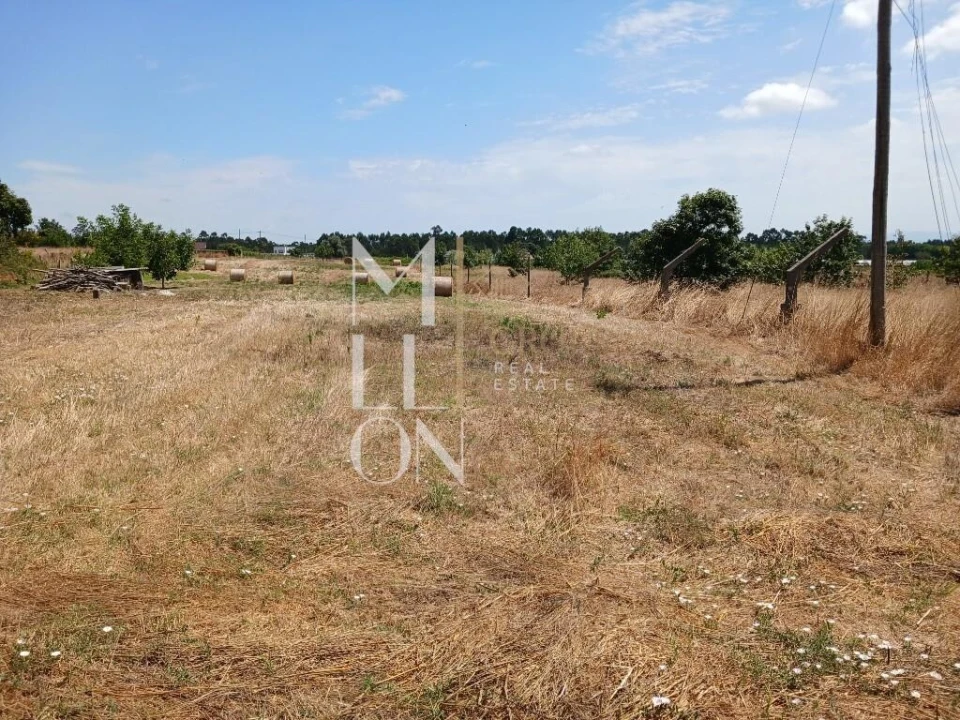 Terreno para Venda em Vagos e Santo António Foto 1