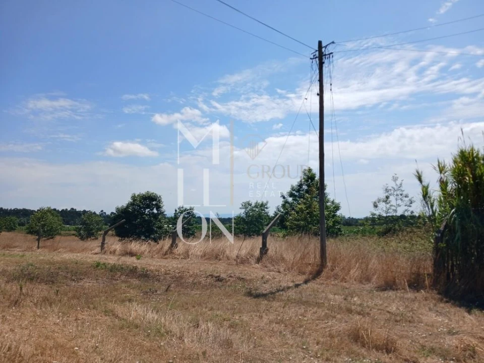 Terreno para Venda em Vagos e Santo António Foto 16