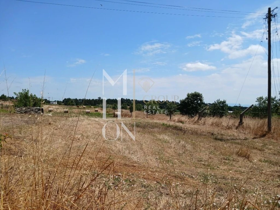 Terreno para Venda em Vagos e Santo António Foto 17
