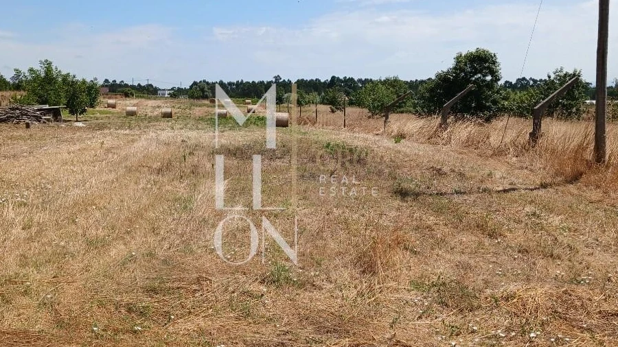 Terreno para Venda em Vagos e Santo António