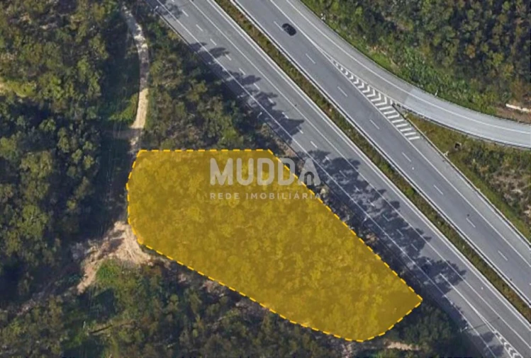 Terreno para Venda em Ovar, São João, Arada e São Vicente de Pereira Jusã Foto 2