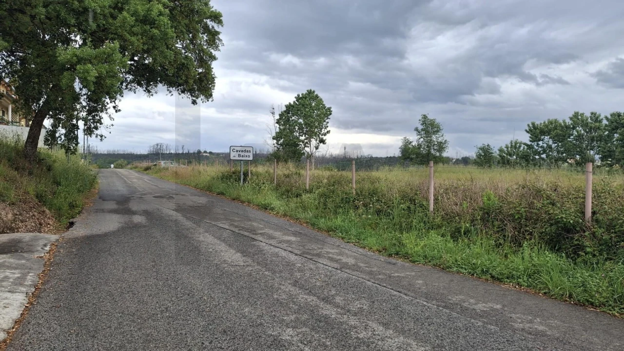Terreno para Venda em Valongo do Vouga Foto 5