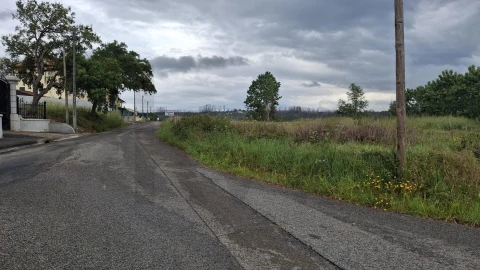 Terreno para Venda em Valongo do Vouga
