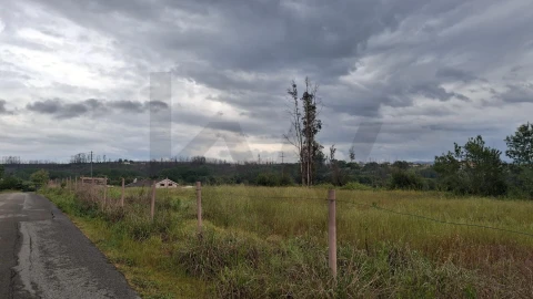Terreno para Venda em Valongo do Vouga
