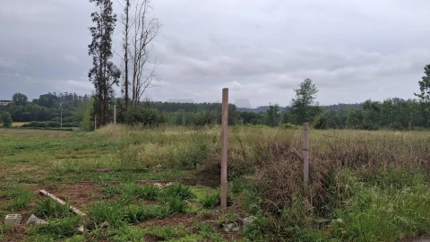Terreno para Venda em Valongo do Vouga