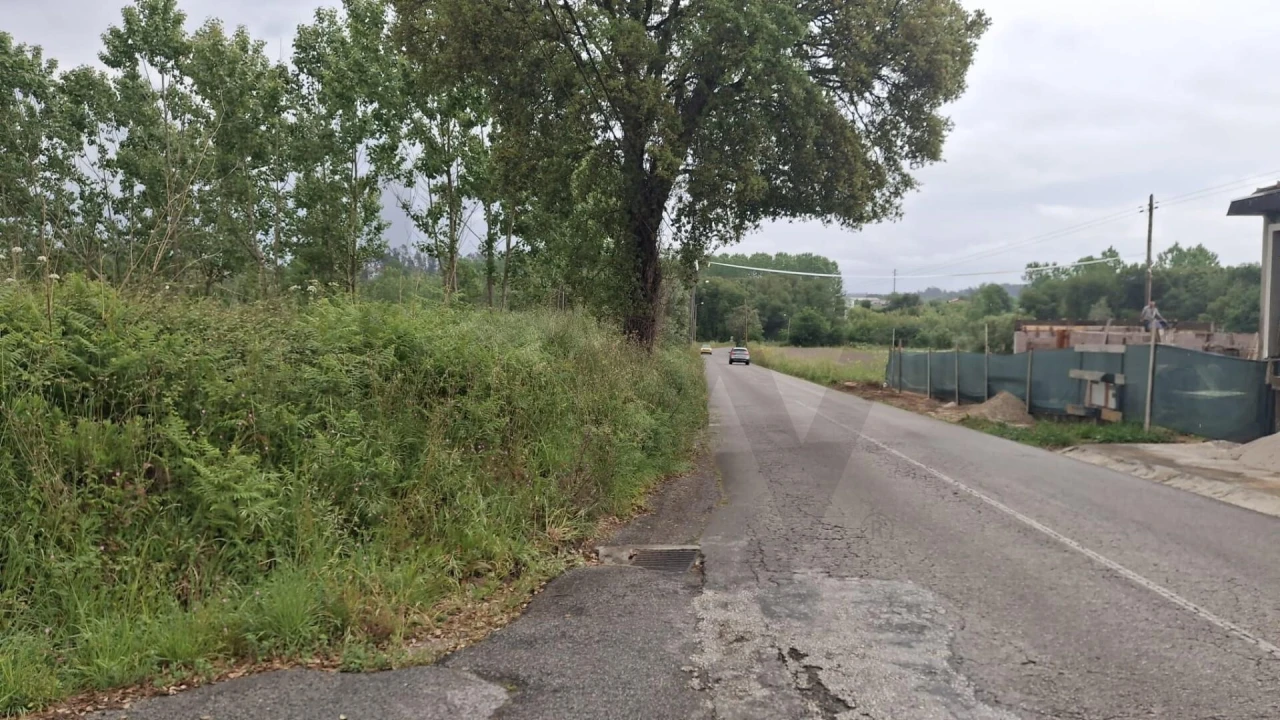 Terreno para Venda em Valongo do Vouga Foto 10