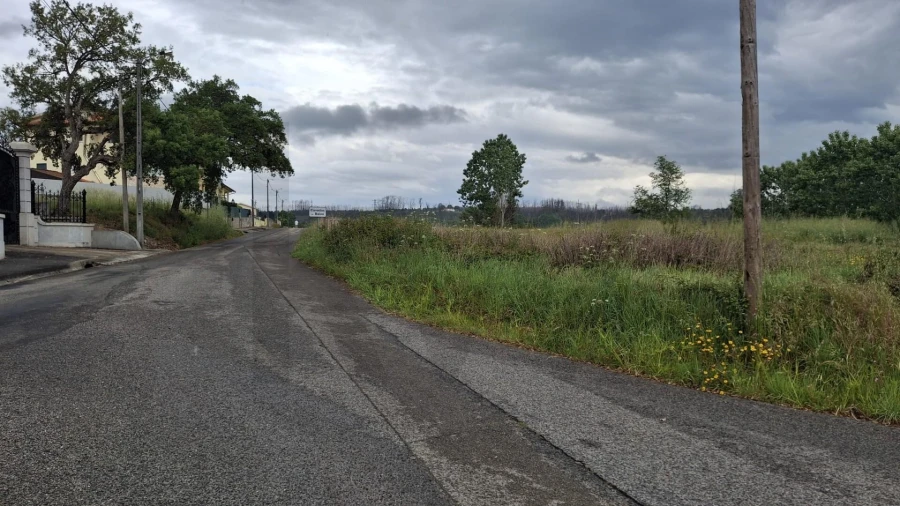 Terreno para Venda em Valongo do Vouga Foto 9