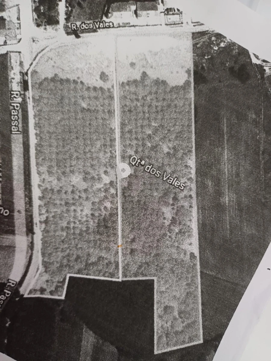Terreno para Venda em Valongo do Vouga Foto 14