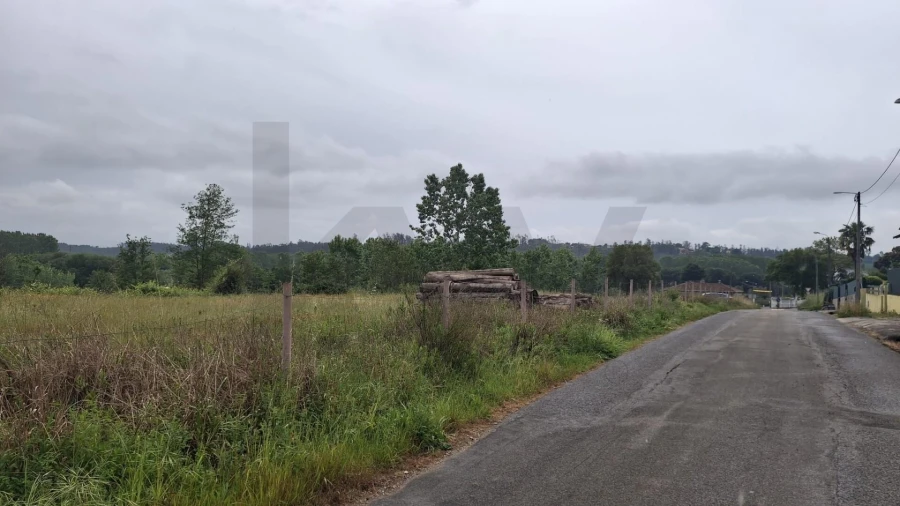 Terreno para Venda em Valongo do Vouga Foto 11