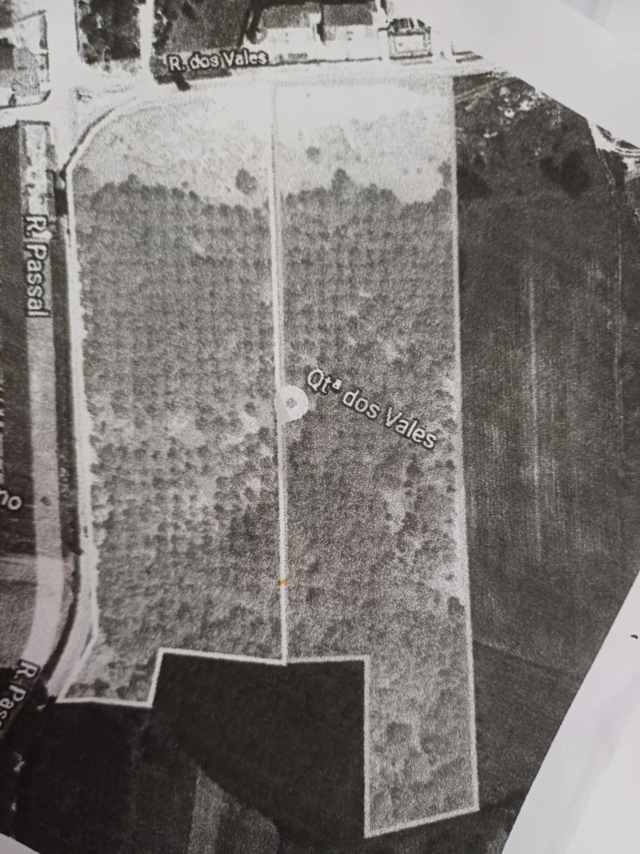 Terreno para Venda em Valongo do Vouga Foto 14