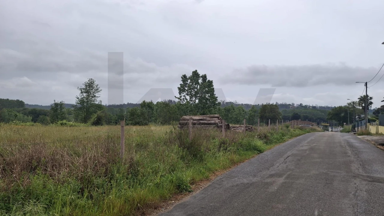 Terreno para Venda em Valongo do Vouga Foto 11