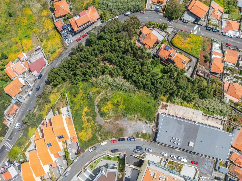 Terreno para Venda em Santo Antonio Foto 3
