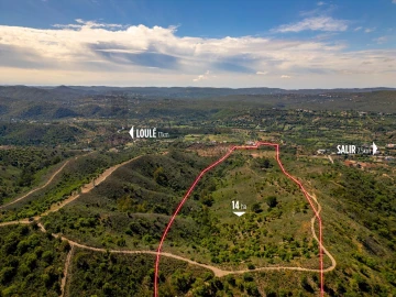 Terreno para Venda em Salir