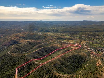 Terreno para Venda em Salir