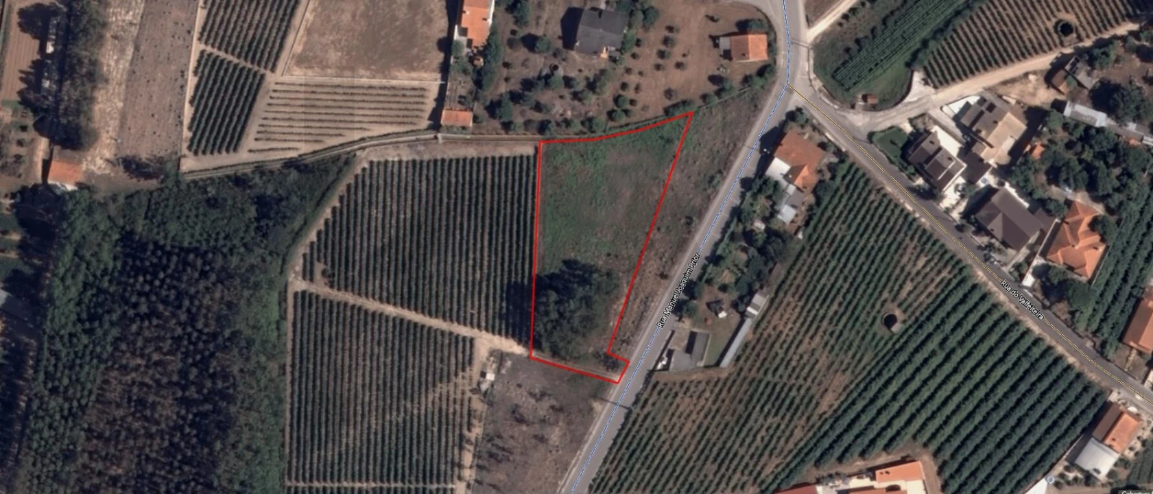 Terreno para Venda em Ourentã Foto 1
