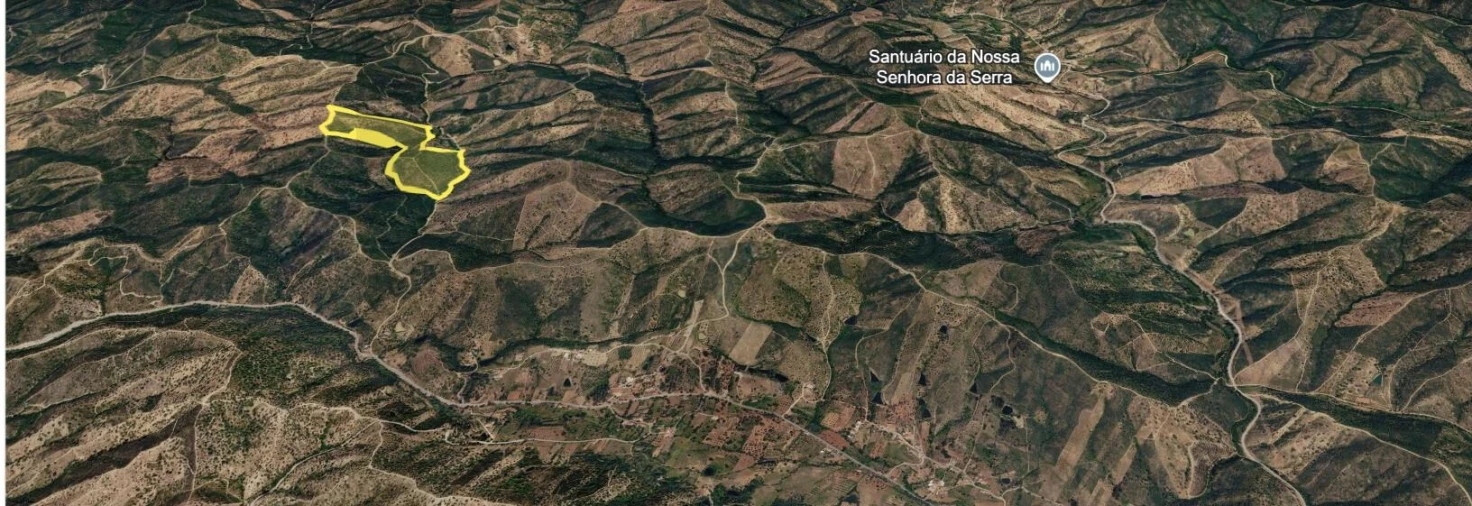 Terreno para Venda em São Bartolomeu de Messines Foto 5