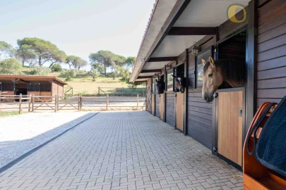 Quinta T5 para Venda em Almancil