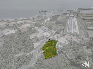 Terreno para Venda em Ponta do Sol