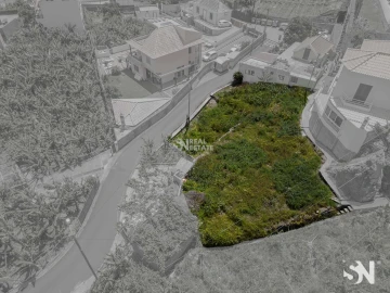 Terreno para Venda em Ponta do Sol