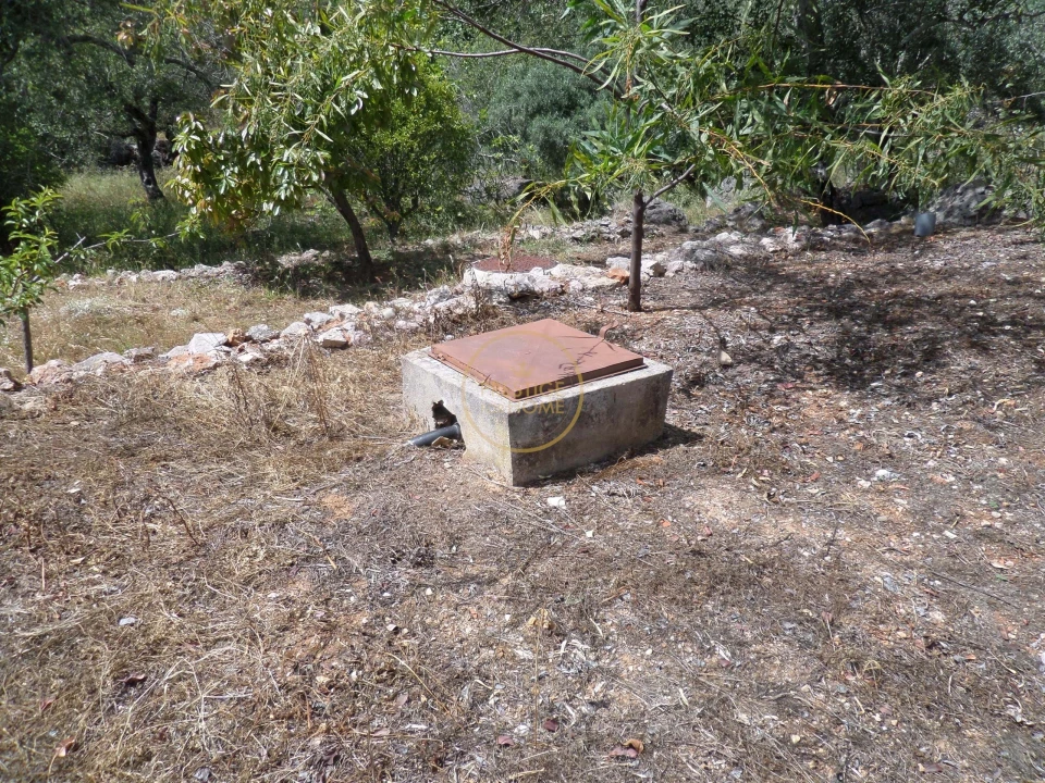 Moradia T6 para Venda em Loule (São Clemente) Foto 83