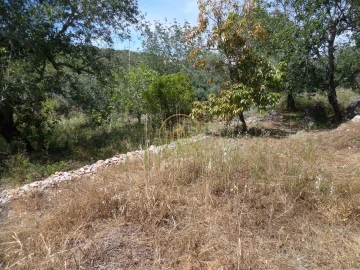 Moradia T6 para Venda em Loule (São Clemente)
